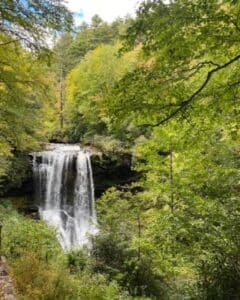 A waterfall flows amidst lush green trees.