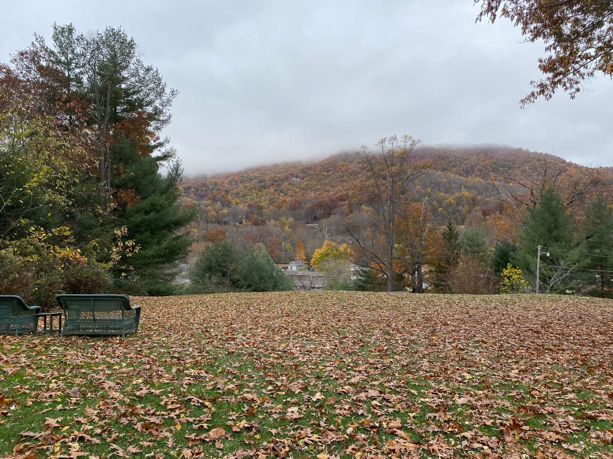 A serene landscape featuring a grassy area covered in fallen leaves with colorful autumn trees and a misty mountain in the background. A serene landscape featuring a grassy area covered in fallen leaves with colorful autumn trees and a misty mountain in the background.