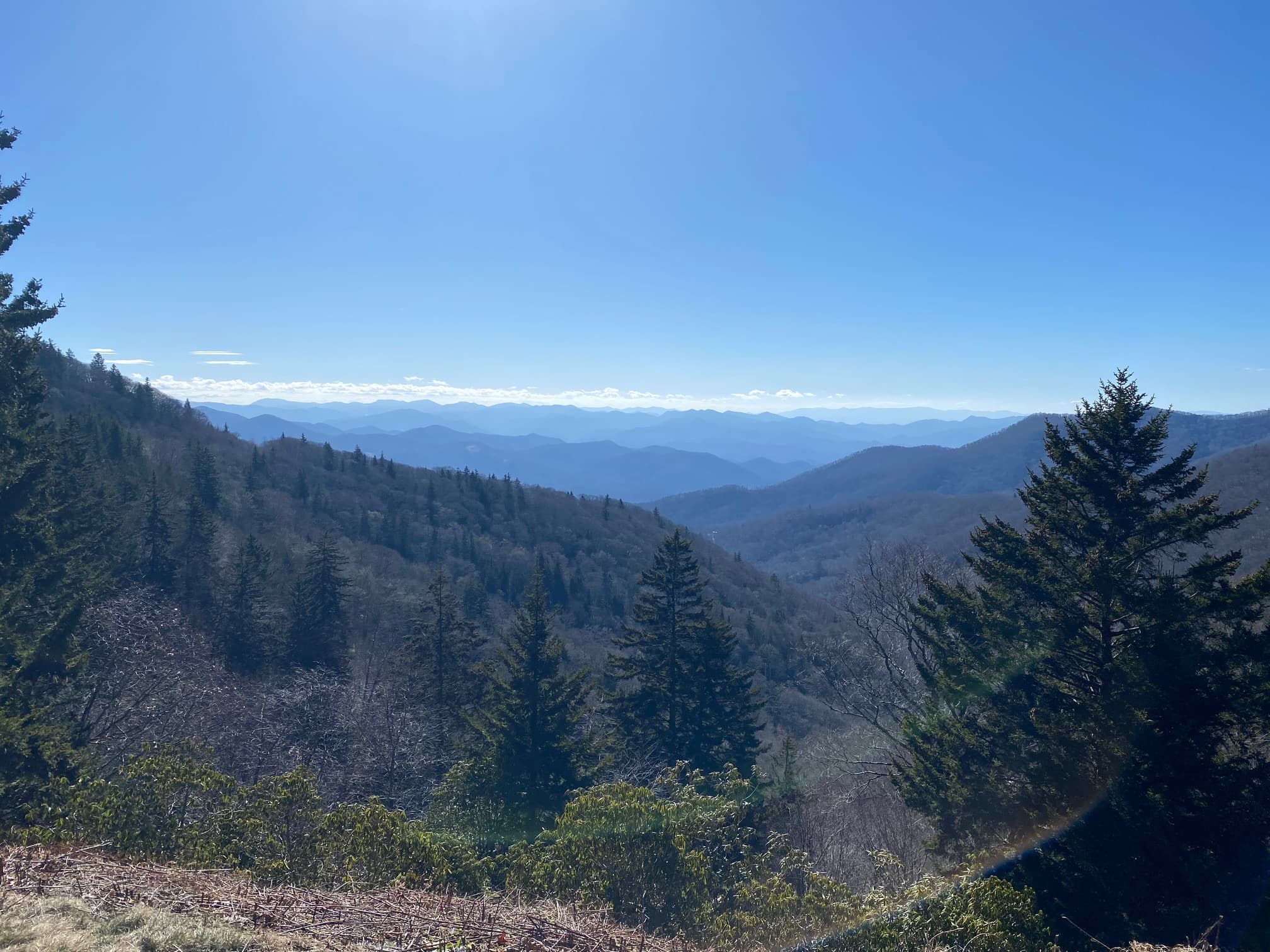 Panoramic view of distant mountains under a clear blue sky, with dense trees in the foreground. Panoramic view of distant mountains under a clear blue sky, with dense trees in the foreground.