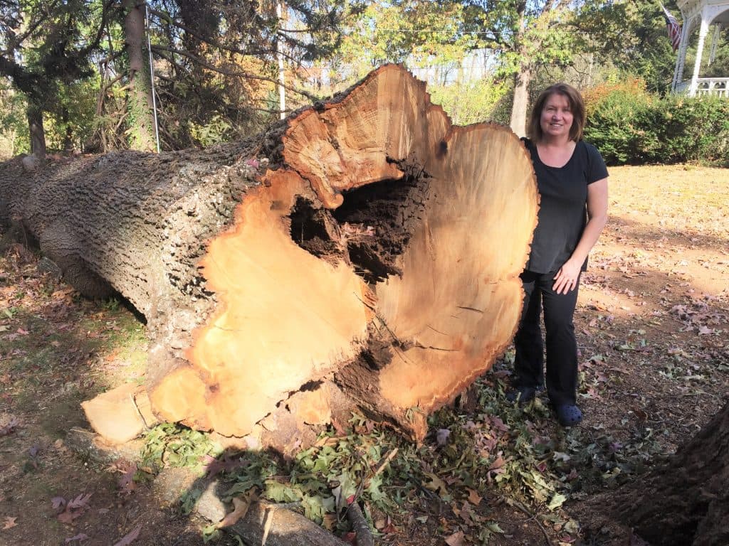 A woman stands beside a large, cut tree trunk in a wooded area.