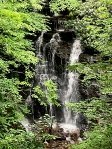 A cascading waterfall surrounded by lush green foliage.