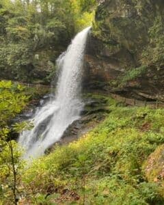 A cascading waterfall surrounded by lush greenery.