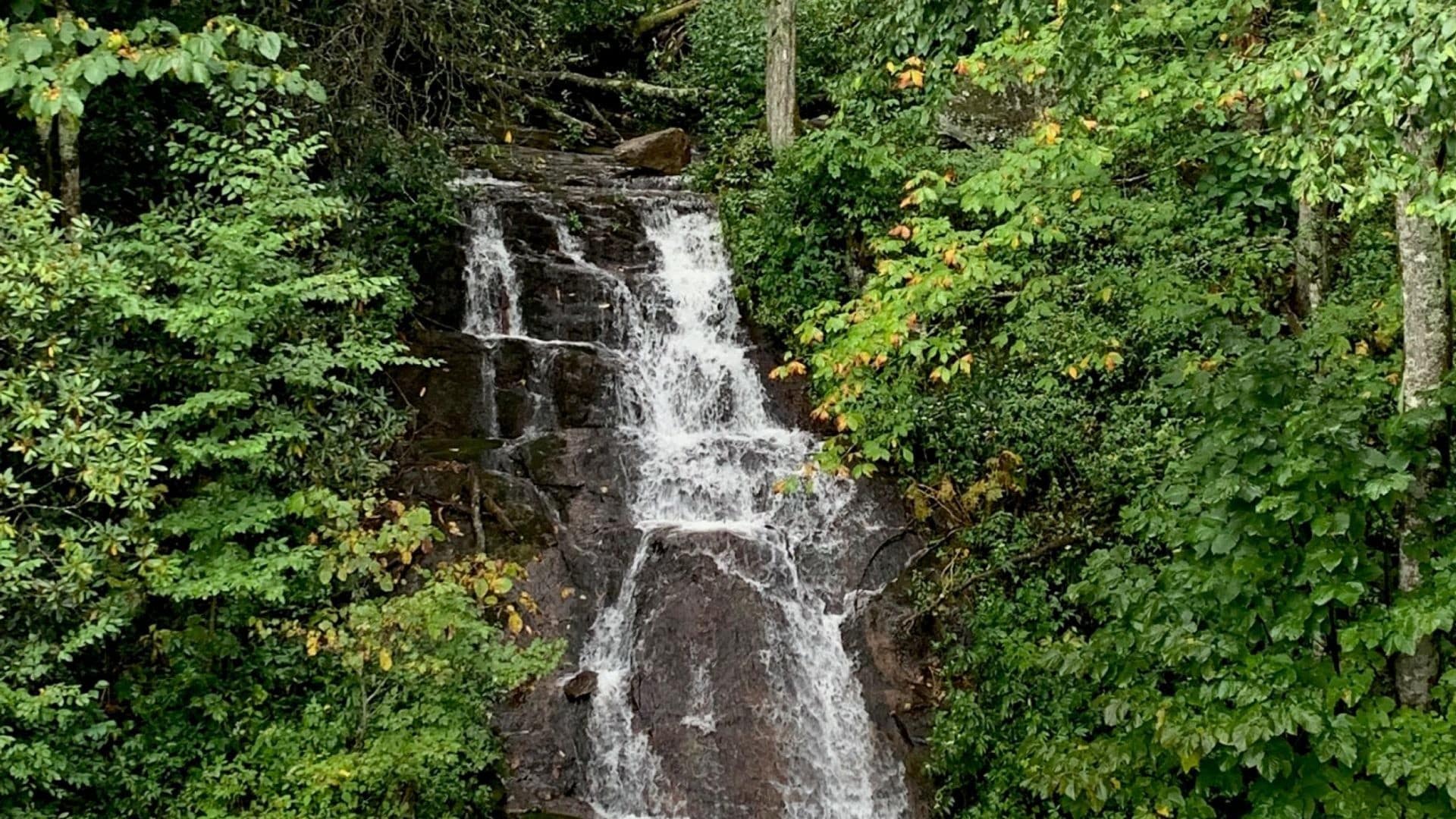 A serene waterfall cascades down rocky steps, surrounded by lush green foliage. A serene waterfall cascades down rocky steps, surrounded by lush green foliage.
