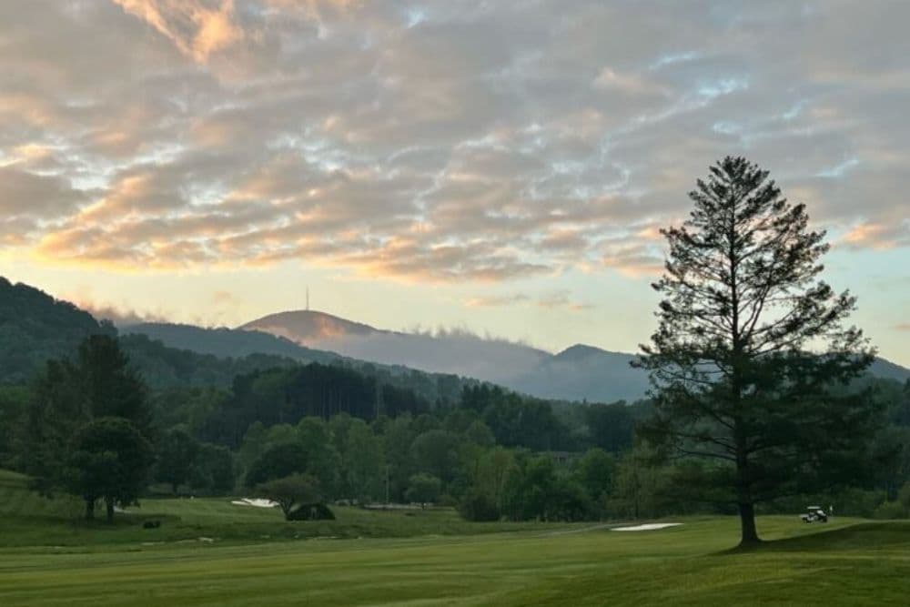 A scenic view of rolling green hills and a tall tree under a cloudy sky at sunrise.