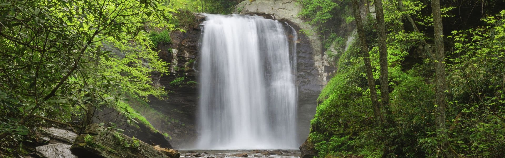 A cascading waterfall surrounded by lush green foliage.