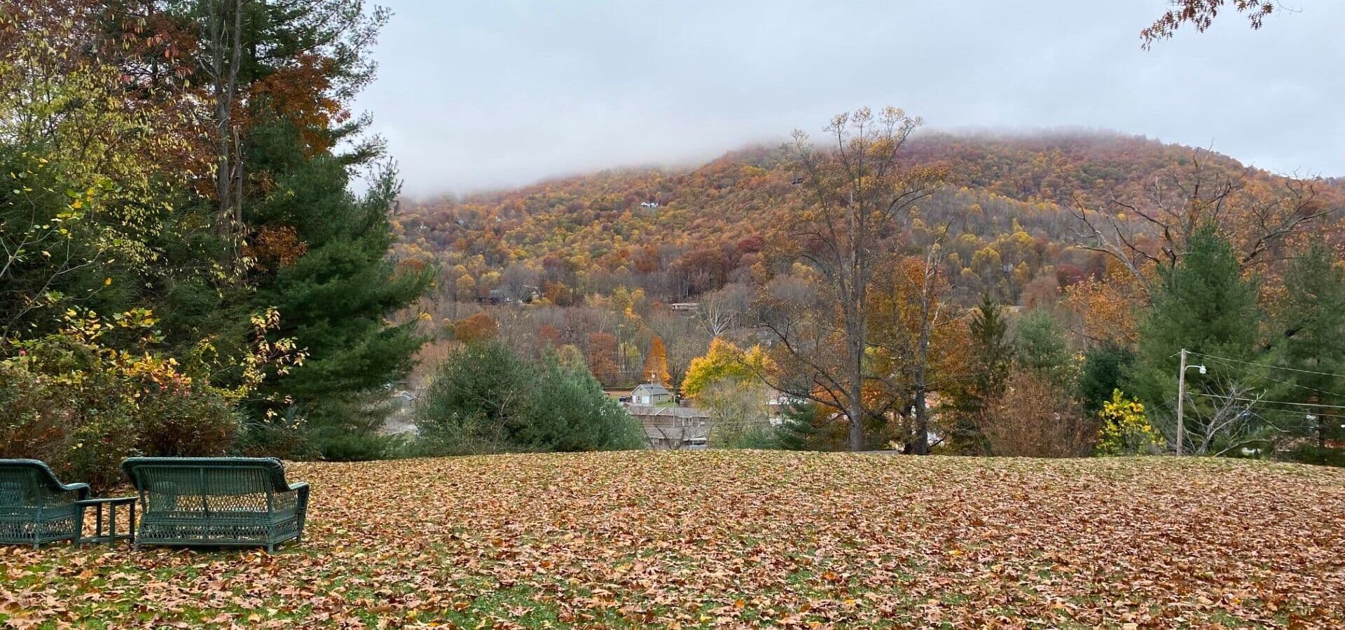 Two green benches overlook a misty, autumn landscape filled with colorful foliage and fallen leaves.