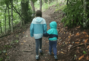 Two children walking hand-in-hand on a forest trail.
