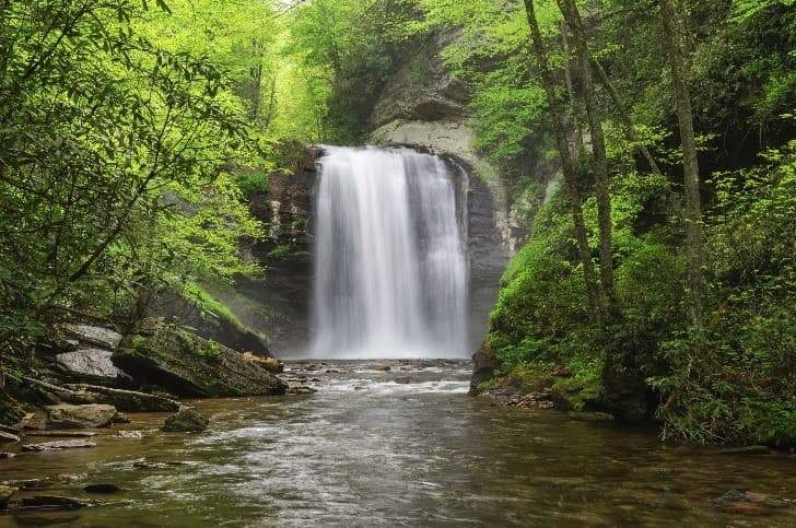 A cascading waterfall surrounded by lush greenery and a serene stream.