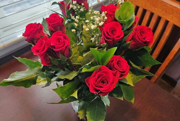 A Dozen Red Roses