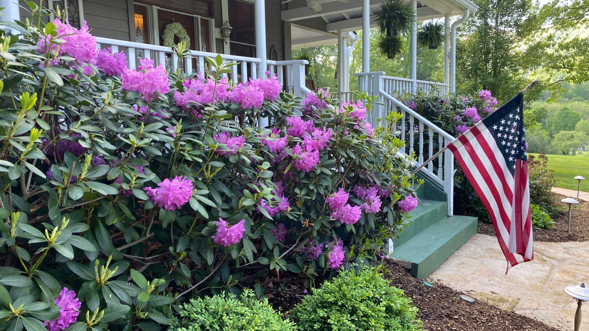 The Joy of Blooming and Planting Season in WNC