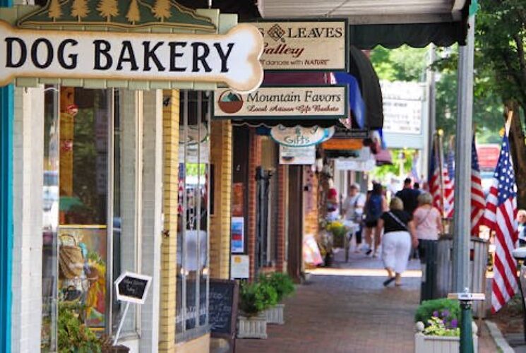 A view down the main street of a small town showing shop signs and people walking