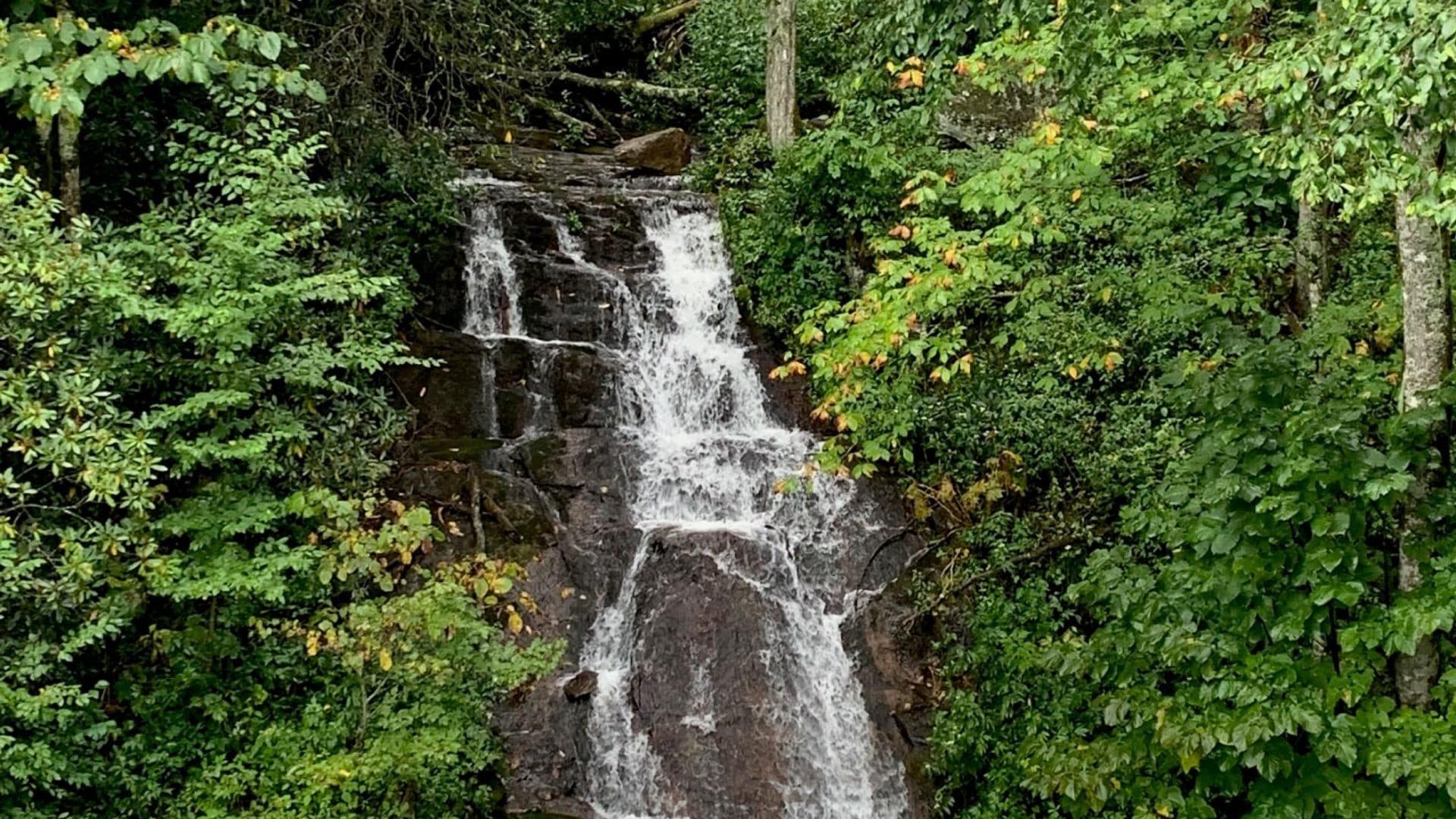 cascades falls on blue ridge parkway