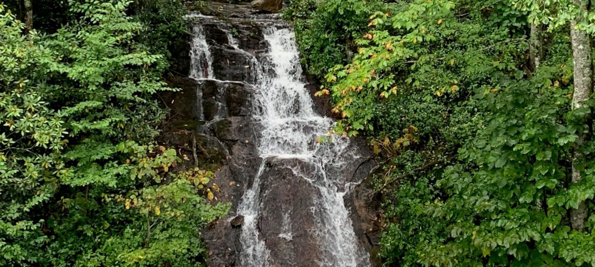 cascades falls on blue ridge parkway