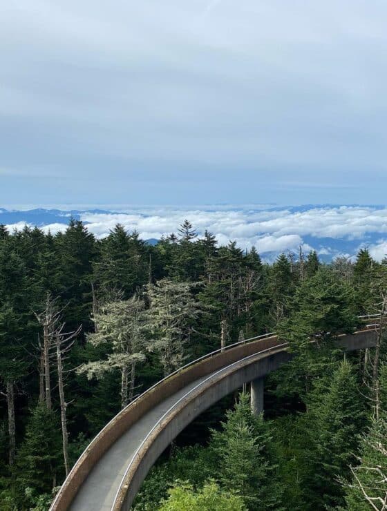 View from Clingman's Dome in the GSMNP