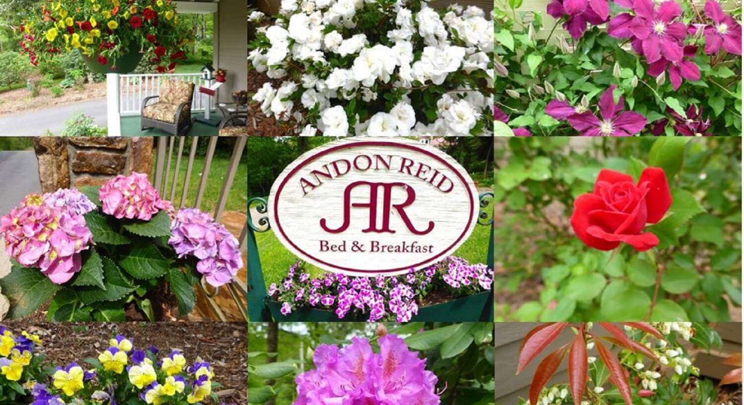 A collage of photos showing various types and colors of flowers with the center image being an oval sign for a bed and breakfast
