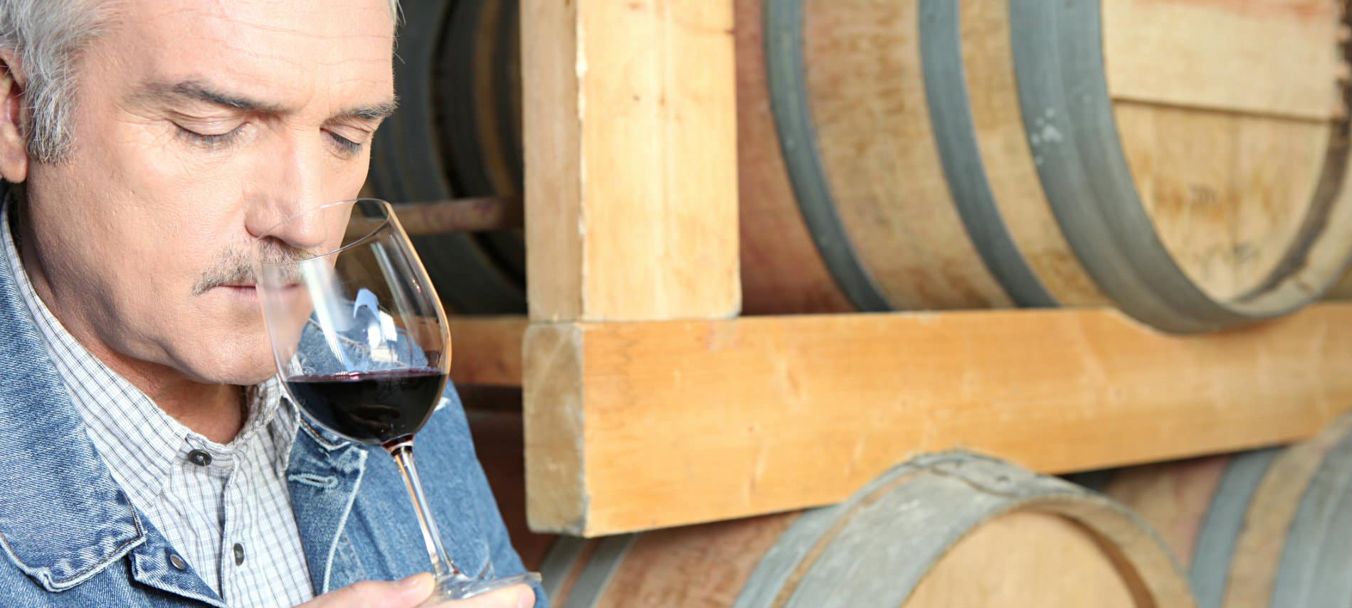 Man with grey hair and mustache sniffing a glass of purple-red wine with wine barrels in the background