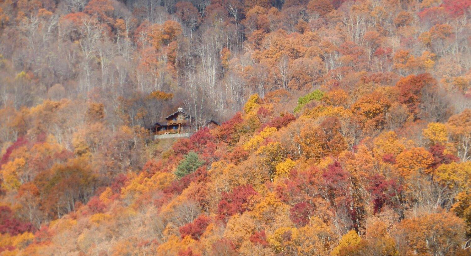 View of a large home nestled in a forest of orange and yellow fall-colored trees