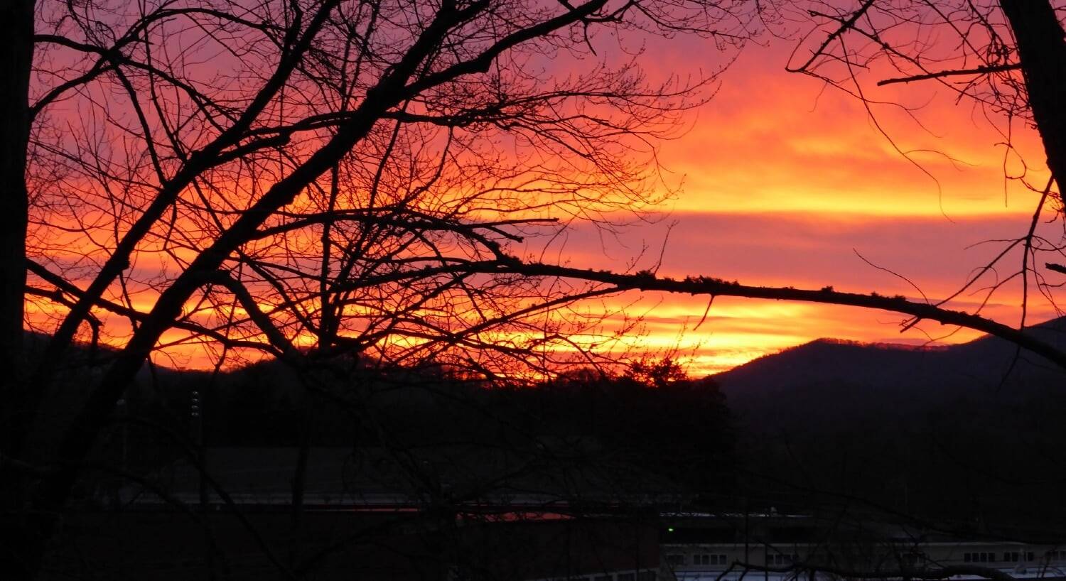 A view of a gorgeous sunset sky of pink, yellow and orange over rolling hills through the branches of a tree