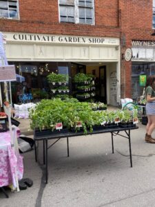 Cultivate Garden Shop at Whole Blooming Thing Street Festival